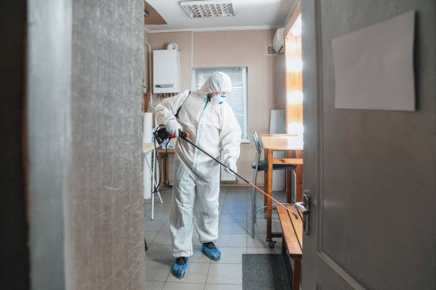 Why You Should Choose Our Mold Remediation Services in Portageville, MO